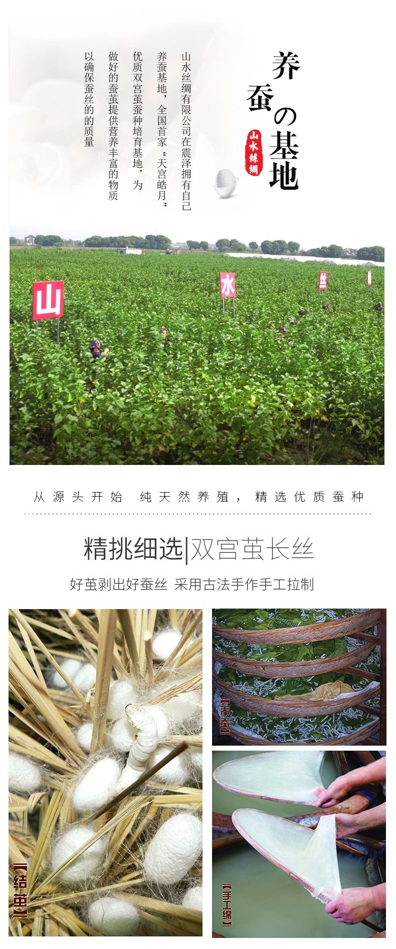 山水丝绸旗舰店——天猫直播-微信图片_20190919103414