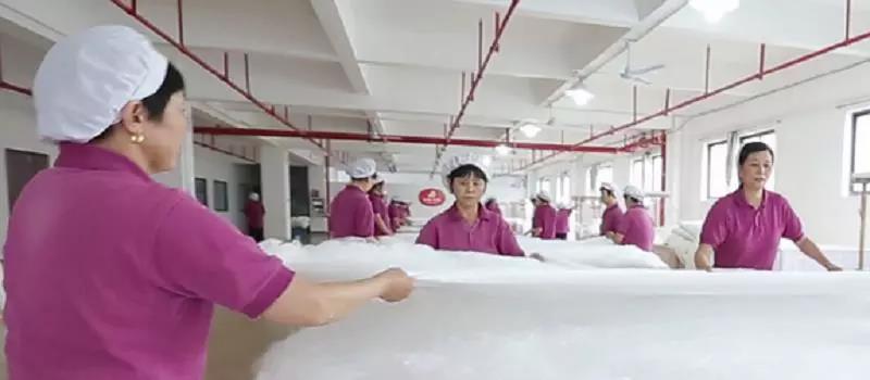 企业参与《蚕丝绵》行业标准制定-微信图片_20190919104451