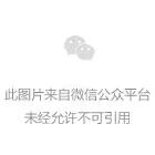 山水丝绸网站图片